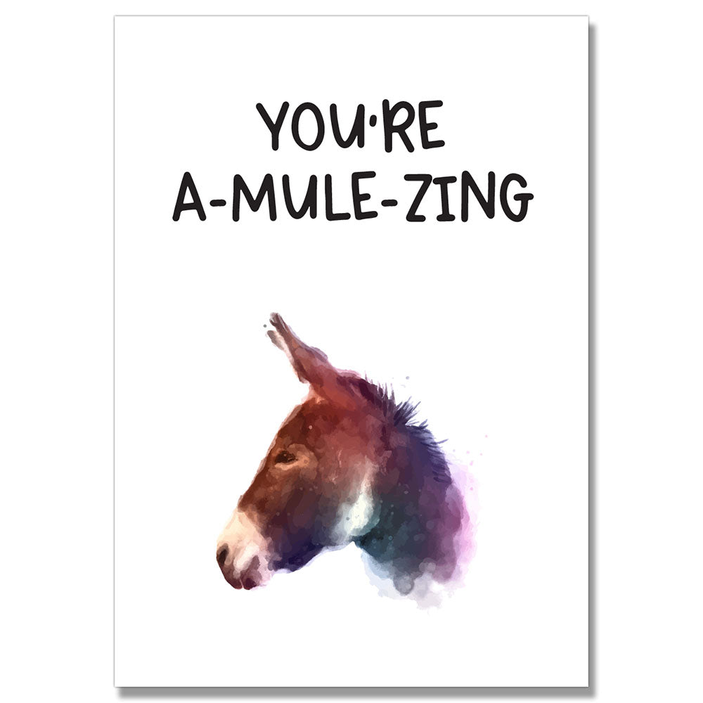 A-Mule-Zing Card PACK OF 6 #1 image